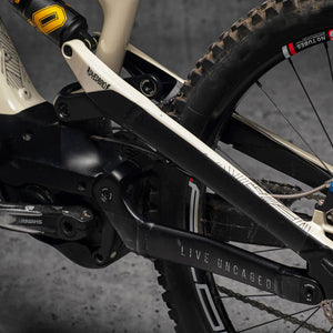 DYEDBRO - EBIKE FRAME PROTECTION - STAYFREE