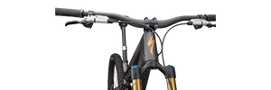 2025 S-Works Stumpjumper 15