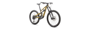 2024 Specialized Status 170 2 Zero